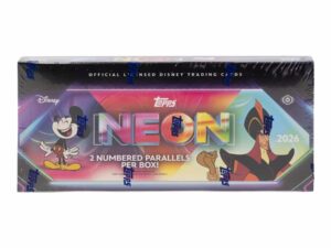 Disney Neon Hobby Box
